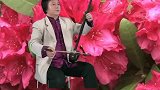 洛阳曲胡演奏家梁献军曲胡独奏曲剧《陈三两》陈三两迈步上公庭