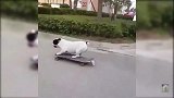 看着狗狗的姿势，这么的熟练，可真是厉害极了呢！