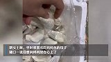 妈妈给女儿寄100个水饺都独立包装，女儿：很感动也很愧疚