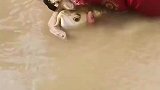 掰开鱼嘴不对劲儿，满满都是母爱呀