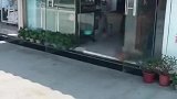 狗子：主人你放开我，我才不要去洗澡！