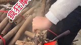 真是不看不知道一看吓一跳