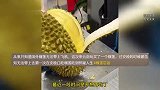 两人在机场10分钟狂炫榴莲，直呼再也不吃了：放屁一股榴莲味