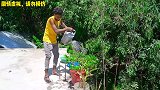浇花引起的蝴蝶效应！