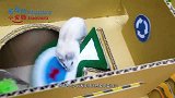 小伙DIY机关怪物迷宫，仓鼠只身进入闯关，原来这才是最强王者