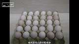 挑选鸡蛋，大的好还是小的好？我们一起听听养鸡大叔的介绍