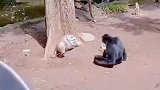 这真是又菜又爱玩