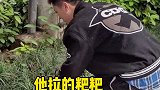 如果遛狗的意义不是为了让狗子拉，那还能是什么呢傻狗的日常 迷惑行为 热门