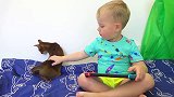萌娃小可爱们的宠物猫咪不见了，萌娃：我们一起去寻找它吧！