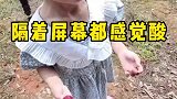 隔着屏幕都感觉到了酸味