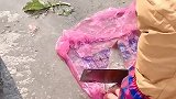 猫：今天主人杀鱼，叫兄弟们都过来聚餐了！