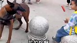 别人家孩子有的，咱也得安排上，都是有人宠的