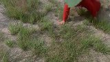 我是夺命剪刀脚啊，凌空飞起一夹夹爆你的脑袋
