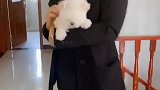 气质优雅的新妈妈，宝宝幸福大门开启