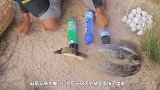 男子沼泽发现洞穴，拿起杀虫剂一顿猛喷，结果不得了的东西出来了