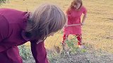 农村妇女那些事