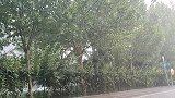 坐标北四环突然下起雨