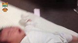 1岁宝宝在房间里大哭不止，接下来狗狗的举动，爸妈都看傻眼了