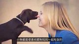 把你当成妈妈的小狗，都会有这些特征，你家有吗？
