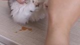 还是圈儿省心啊