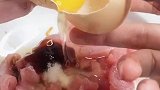 家庭版京酱肉丝,一学就会,酱香浓郁,好吃到没朋友