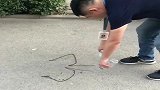 看得出画的是什么吗，这技术真不赖啊，太帅气了！