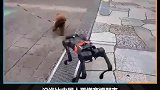 你见过什么路子野的