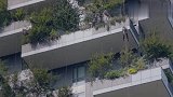 厉害了我的国！中国建造“森林城市”，屋里不开空调也凉快！