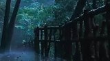 今夜雨濛濛，我不能忘记往日的誓约