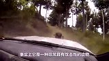 小羊羔看到主人靠近，立马发怒想顶主人，接下来的画面请别笑