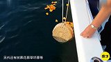 外国公司推出“太空葬”死后化作流星，看到价格表示打扰了