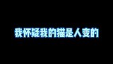 我怀疑我的猫是人变的，自从我教会了它按按钮，我的噩梦就来了