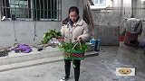 广西妹子用植物制作彩色米饭，用此方法从不失败，黑色黑到没朋友