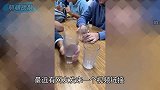 旋转的塑料杯为啥原地起飞？揭秘隐形的轴承