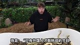 挑战躺在条毒蛇蜘蛛里，分钟胜利获万，中国人敢吗