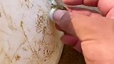 原来河豚还可以这样用，河豚我那么小还让我干活，真是太搞笑了