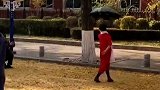 辽宁大妈甩伞拍落叶 网友：快学起来，以后我们也这样拍