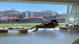 这个女人29岁，就已经过上了退休生活，羡慕！