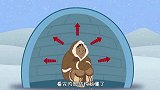 爱斯基摩人所住的冰屋，为什么会比木屋更保暖？看内部结构懂了