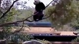 一天不挨摔浑身难受