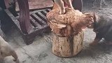 配合的太默契了