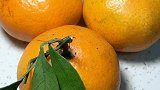 橘子你会挑吗？