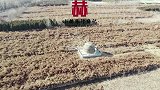 探访北京西郊一座孤零零的古墓，墓主人有难言之隐，无脸靠近祖坟