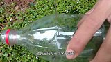 小伙用水瓶制作捕鱼器，成功钓上基围虾，真厉害