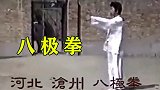 老拳师展示八极拳，刚猛有力出手带风，下盘稳固爆发力强！