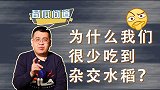 有了杂交水稻，我国还要进口大米？到底靠什么抵抗粮食危机？