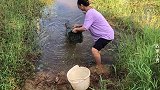 农村媳妇去收鱼笼，捕到泥鳅黄鳝小鲫鱼，开心的不知所措