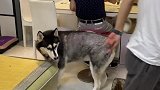 文案都不好意思写了，你们看吧
