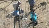 孩子们捡回身亡的小猫，埋葬后轮流祭拜