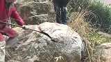 发现一块奇石的兄弟，撬开是惊艳的开始，像极了猪肉的纹理！